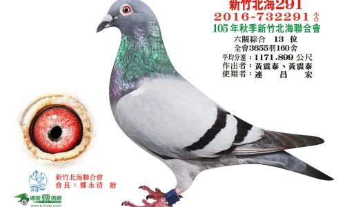 脸上圈状黑斑是什么斑专区_脸上的斑是圈状的那叫什么斑专区_脸上有圈斑怎么办网